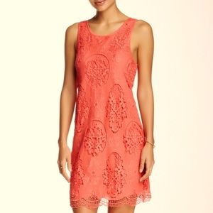 NWT Tart Collection Coral Willow Lace Dress Size Large